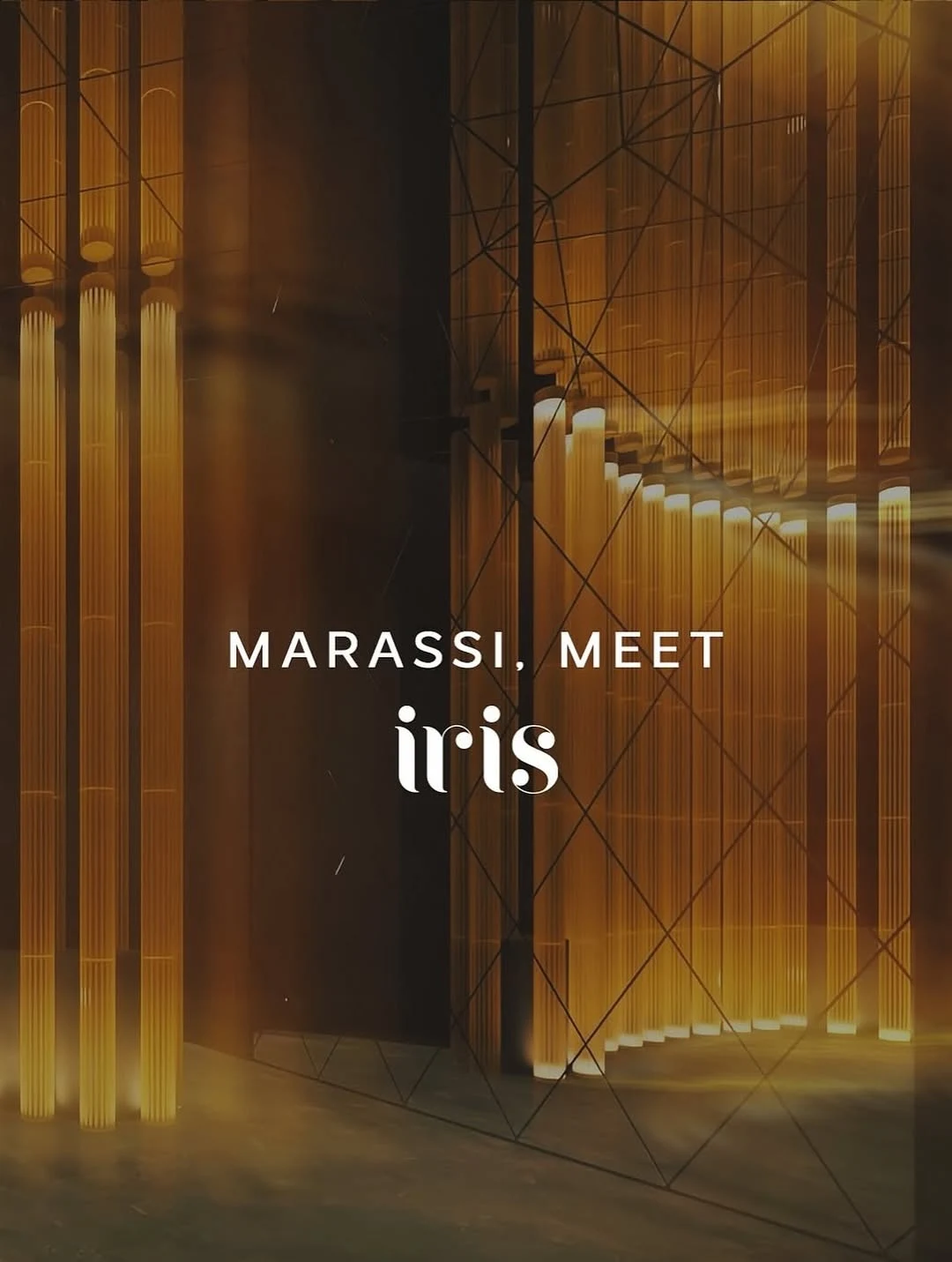 Iris in Marassi, North Coast Egypt