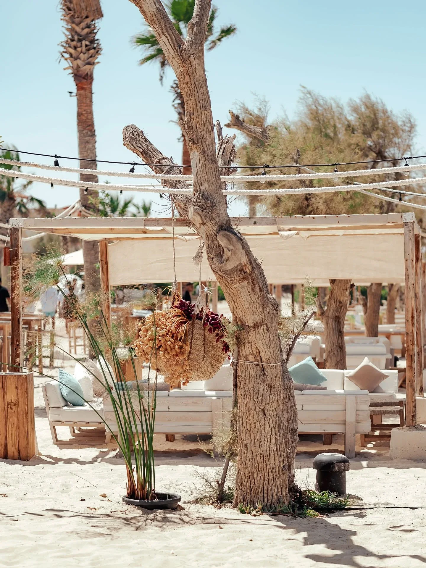Kokomo in Sidi Heneish Village, North Coast Egypt
