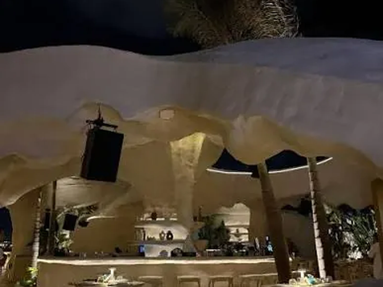 Esca in Ceasar Island, North Coast Egypt